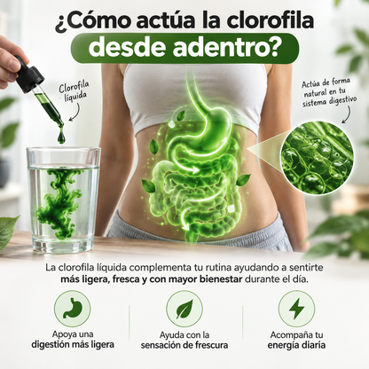 CLOROFILA BENEVOLENT® | SIÉNTETE FRESCA, LIVIANA Y SEGURA
