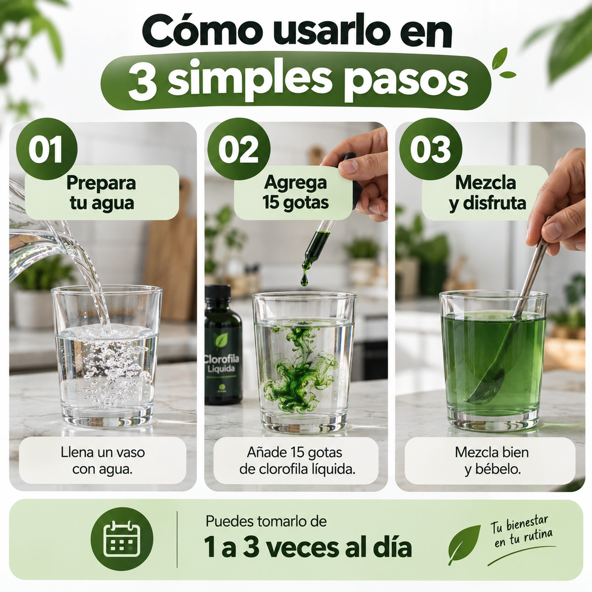 CLOROFILA BENEVOLENT® | SIÉNTETE FRESCA, LIVIANA Y SEGURA