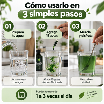 CLOROFILA BENEVOLENT® | SIÉNTETE FRESCA, LIVIANA Y SEGURA